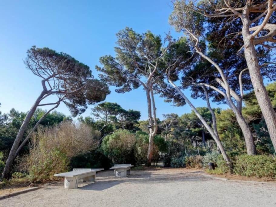 Appartement Superbe 50m De La En Bord De *